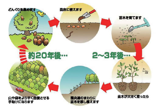 �X���낤�}�b�v