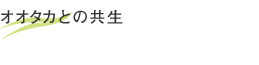 オオタカとの共生