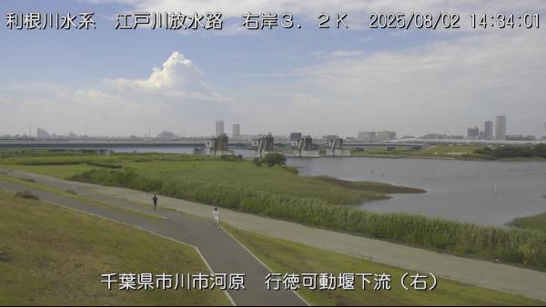 市川市河原