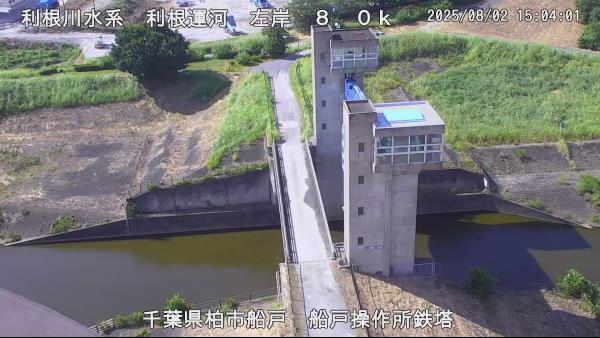 柏市船戸山高野