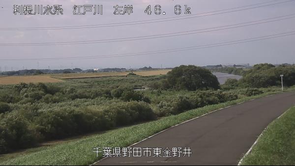 野田市東金野井