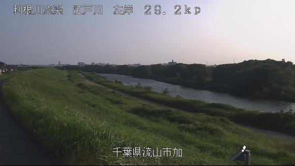 流山市加