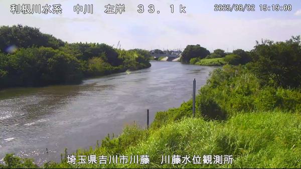 吉川市川藤