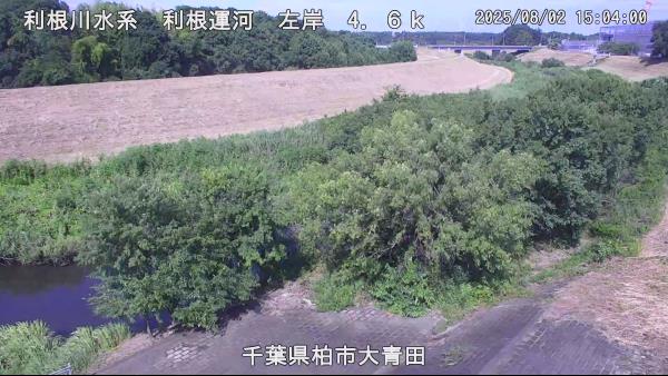 流山市大青田