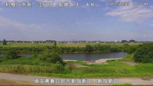 春日部市新宿新田