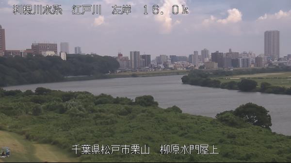 市川市国府台