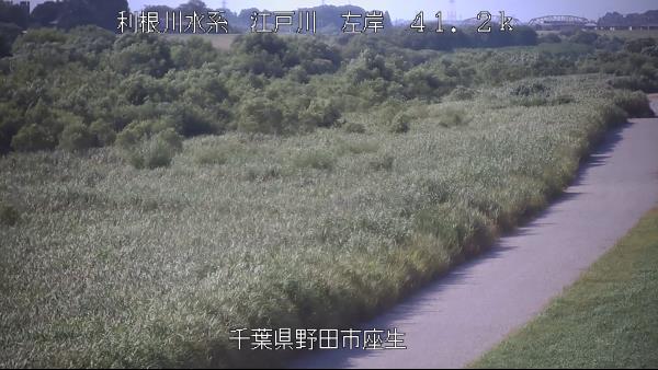野田市座生