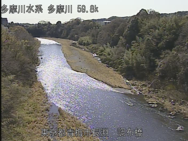 多摩川 ライブ カメラ 丸子 橋