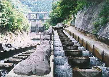 ダムに設置された魚道の例(白丸ダム：多摩川)