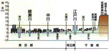 【図3　江戸川沿川地域の地形断面図】