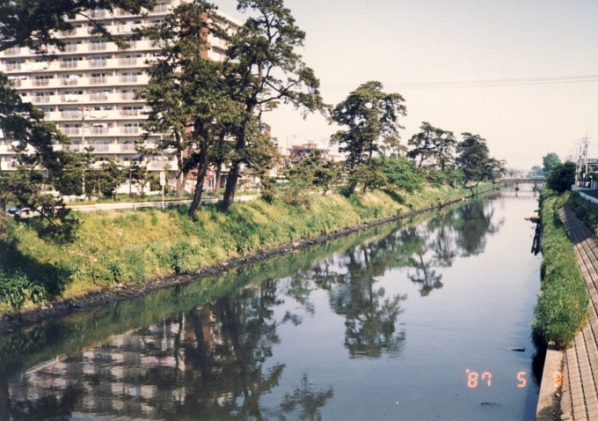 草加・谷古宇橋から上流右岸を望む（鈴木恒雄様提供）1987年（昭和62年）5月9日撮影