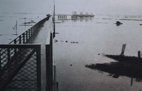 昭和49年の洪水