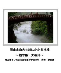 雨止まぬ大谷川にかかる神橋