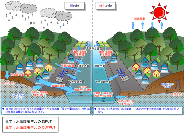水循環系解析モデル模式図