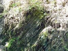 三波石峡の地層