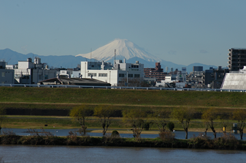足立区・都市農業公園からの富士山