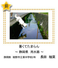 暑くてたまらん　－静岡県　用水路－　静岡県　裾野市立東中学校2年　長田　柚葉