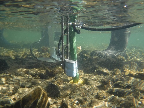 水中で撮影した流速計（電磁流速計）です。先端部分で水の流れを計測します。