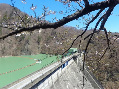 桜と五十里ダム