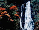 丸神の滝（日本の滝100選）