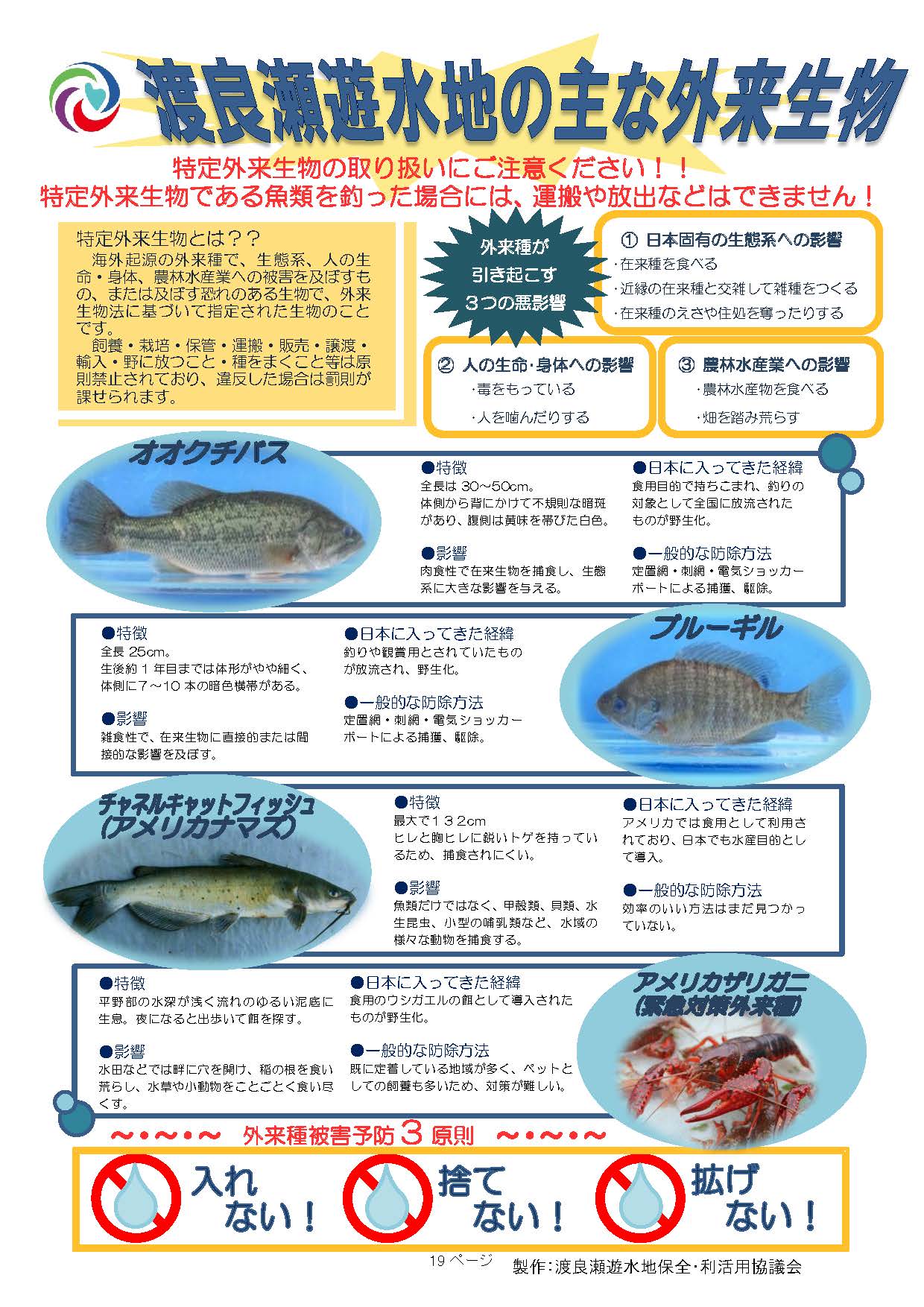 渡良瀬遊水地の主な外来生物（魚類）