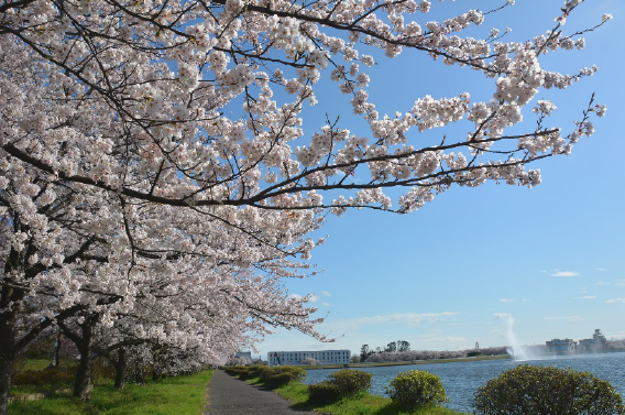 行幸湖