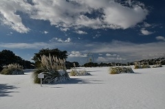 令和5年　大草原の雪景色