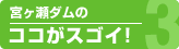 �{�����_���̃R�R���X�S�C�I