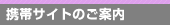 �g�уT�C�g�̂��ē�