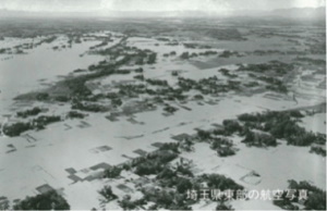 埼玉県東部の航空写真