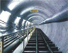 �����C���[�W