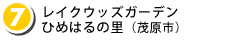 （７）ひめはるの里（長南町）