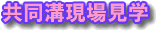 aꌩw
