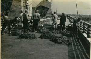 舗装コンクリート施工