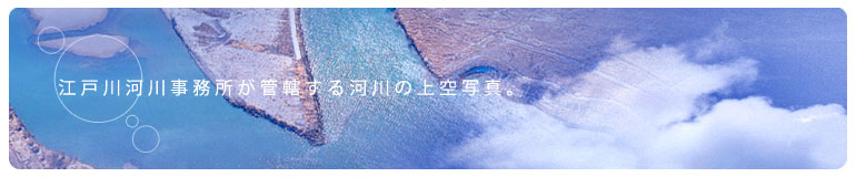 江戸川河川事務所が管轄する河川の上空写真