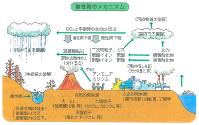 酸性 雨