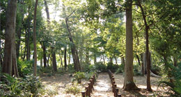 清水山憩いの森