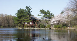 三宝寺池