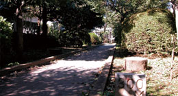 野川緑地公園