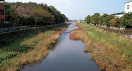 喜多見大橋