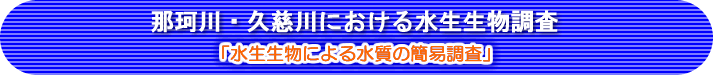 ߉ϐEvɂ鐅uɂ鐅̊ȈՒv