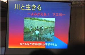 写真１