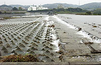 大丸用水堰(おおまるようすいぜき)