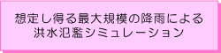 想定し得る最大規模の降雨による洪水氾濫シミュレーション