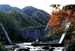 (11) 芹沢第二砂防堰堤（藤原町・男鹿川） 