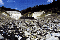 (14) 岩下沢五号砂防堰堤（黒保根村・小黒川）鋼製スリットタイプの砂防堰堤。 