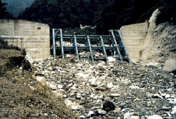 (11)千鳥床固群（利根村・片品川）