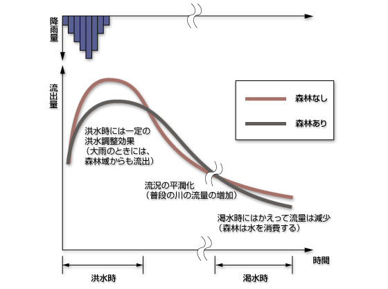 森林の有無による流出量の違い