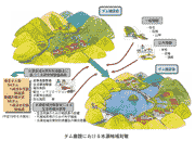 ダム建設における水源地域対策