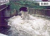 神田川(東京都)雨天時汚濁物質流出状況
